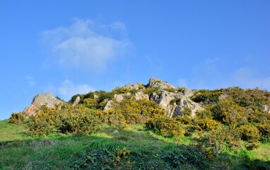 Fototapeta premium landscape with blue sky