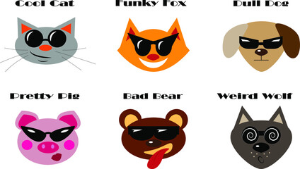 Funny and cool animals wearing sunglasses, cool cat, funky fox, dull dog, pretty pig, bad bear, weird wolf
