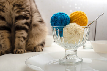 Fototapeta na wymiar Colorful, bright circles of woolen threads lie in a bowl like ice cream, next to a cat is sitting and wants to play with yarn. 
