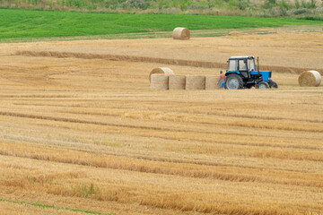 In the field, there is a tractor next to a bale of hay. Bales of hay or straw are scattered across the field. Tired farmers rest after hard work.