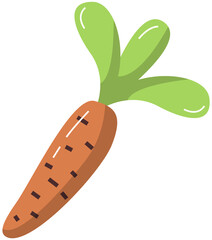 Orange ripe carrot on white. Healthy root-crop for people and animals. Delicious raw vegetable