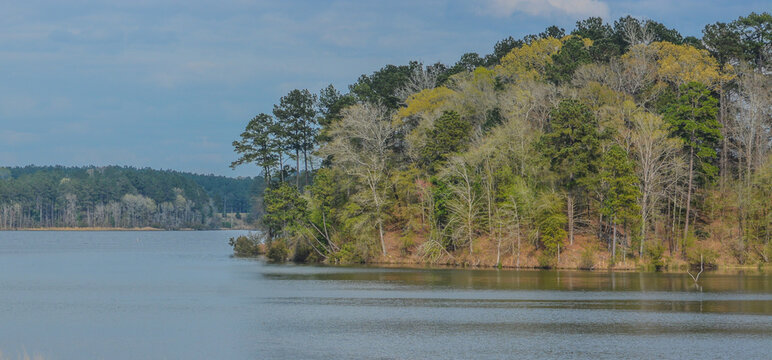 The beautiful view of Okhissa Lake in Homochitto National Forest, Bude, Franklin County, Mississippi