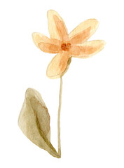 Hand drawn watercolor violet flower