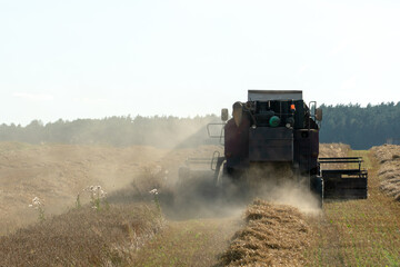 Fototapeta premium combine harvester while working in the field with wheat during the harvesting campaign. Dust from harvesting equipment in an agricultural field. The harvest season of grain crops.
