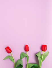 Red tulips with green leaves flat lay on pink background. Three flowers photography.