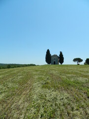 landscape with grass and blue sky