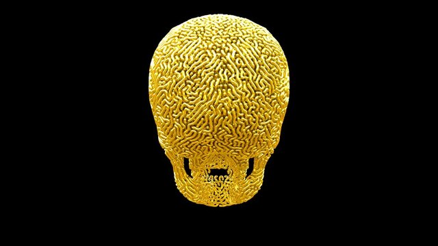 Gold Carved Skull With Alpha Matte, loop