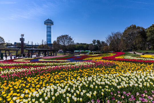 海津市 Images Browse 349 Stock Photos Vectors And Video Adobe Stock