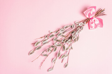 Sprig of willow isolated on pastel pink background