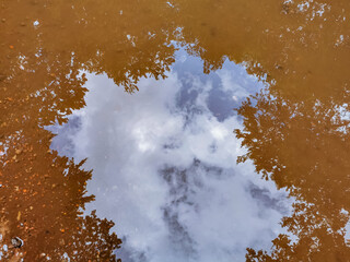 reflection of trees and sky on  the water surface