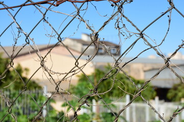 barbed wire against the blue sky