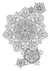 Hand drawn doodle composition with flowers and mandalas for greeting card, clothes print, decorate stationery, case phone, dishes, porcelain, ceramics, adult antistress coloring book