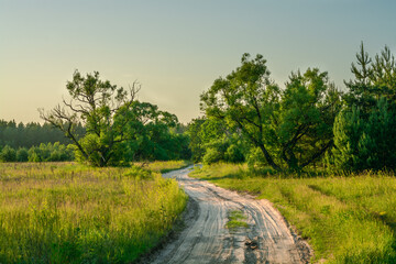 road in the field near the edge of forest