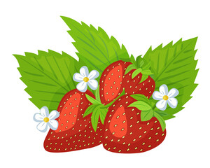 A bush of ripe strawberries, isolated on a white background. Beautiful juicy berries. A design element of kitchen utensils. Vector illustration
