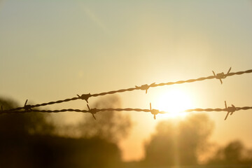 Barbed wire fence at sunset with sun