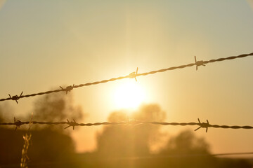 Barbed wire fence at sunset with sun