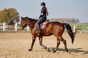 Young horsewoman riding on brown horse in paddok outdoors, copy space. Equestrian sport.