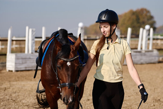 Young female farmer taking care about horse on ranch on summer day, copy space. Girl and brown horse in paddok outdoors