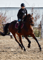 Young horsewoman riding on brown horse in paddok outdoors, copy space. Equestrian sport.