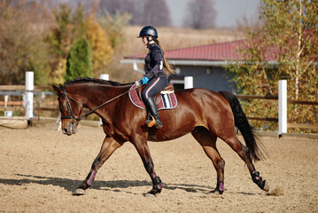 Young horsewoman riding on brown horse in paddok outdoors, copy space. Equestrian sport.