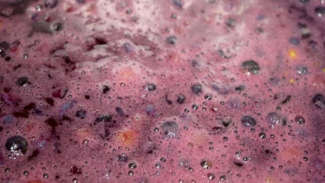 fermentation of wine,process Fermentation of grape must with bubbles