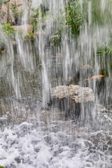 Looking Through the Waterfall