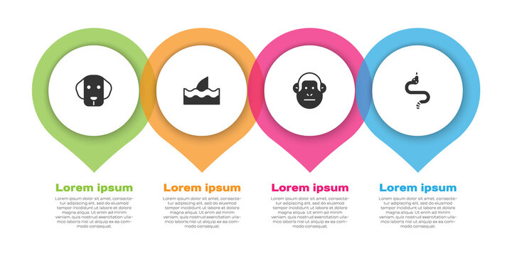 Set Dog, Shark fin in ocean wave, Monkey and Snake. Business infographic template. Vector