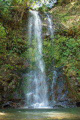Obraz premium waterfall in the forest