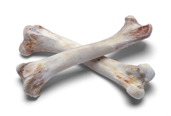 Cross Bones