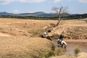 Los caballos están tomando agua del arroyo. © jesuschurion57