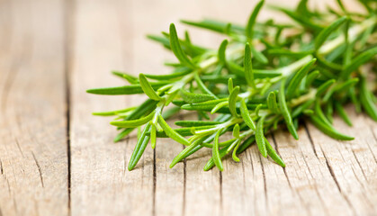 Fresh green herbal rosemary on a wooden table