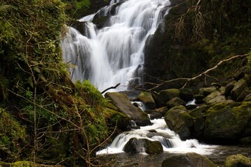 Obraz premium The Torc Waterfall on the Owengarriff River is 18 meters tall. Killarney National Park. Ireland. Europe.