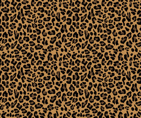 Loepard vector pattern, seamless trendy background, cat print