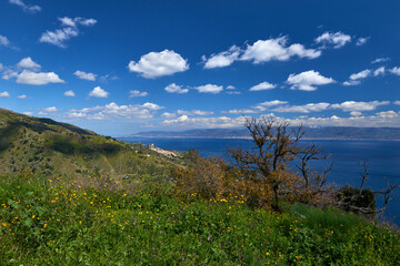 Fototapeta premium the castle of Scaletta Zanclea, Messina, with the whole coast overlooking the Strait in Sicily with spring blooms