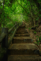 staircase on a hike in the mountains in Udonthani, Thailand.