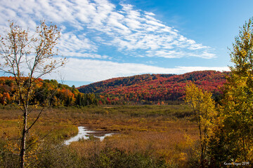 Fall colours in Gatineau. White white wispy clouds in a bright blue sky over the Gatineau Hills in autumn. Quebec, Canada