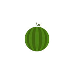 Colored icon of watermelon sign. Vector illustration eps 10