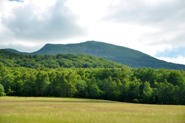 summer in the mountains