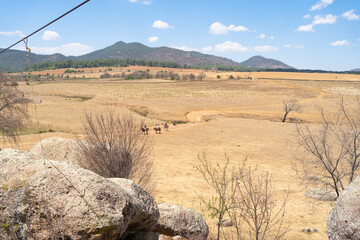 Personas en sus caballos en el valle de los enigmas Tapalpa Jalisco. © jesuschurion57