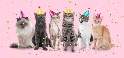 Adorable cats with party hats on pink background. Banner design