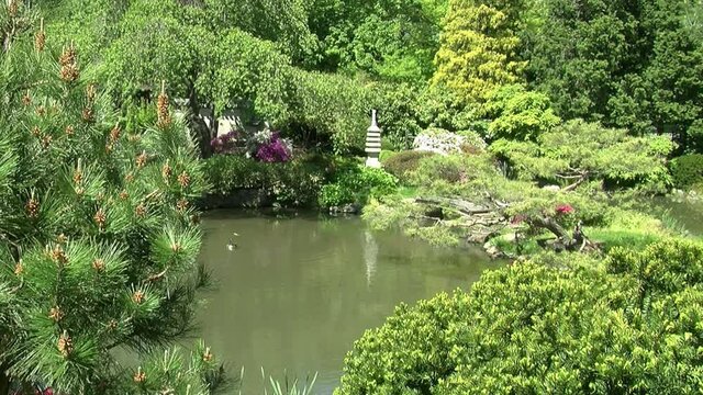 Stone pagoda and pond in a Japanese garden.