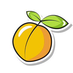 fresh juicy apricot in pop art style sticker