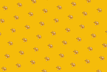 pattern made with golden fresh lilly on sunny summer yellow background. abstract art. minimal flat lay pattern background