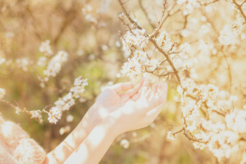 Girl and the blossoming bush at spring