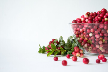 Ripe, juicy, sweet lingonberries in a plate on a white background. Vaccinium vitis-idaea