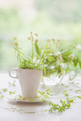 Herbal tea. White mug with fresh wild flowers and herb close-up. Concept summer, romantic healthy breakfast , ecology