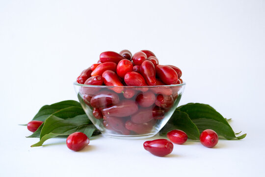 Ripe cornelian cherry. Dogwood fruits isolated on white background. Red berry Cornus