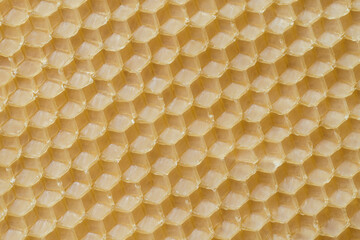 Honeycomb Slice Detail Texture. Handmade Organic Beeswax