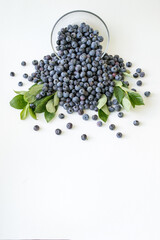 Fresh Blueberries in a bowl on white background. Juicy wild forest berries, bilberries. Fresh ripe blueberry with leaf isolated