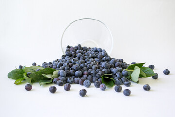 Fresh Blueberries in a bowl on white background. Juicy wild forest berries, bilberries. Fresh ripe blueberry with leaf isolated